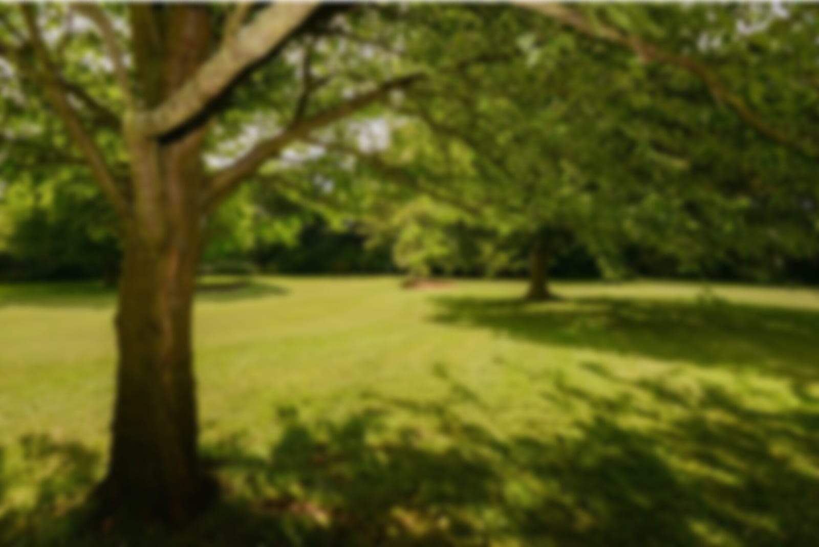 Letchworth Par 3