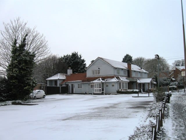Wild Bean Cafe photo 2
