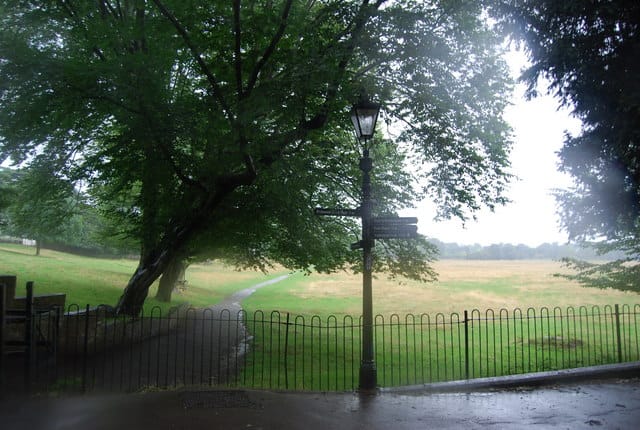 Eileen’s at Buccleuch Gardens Cafe photo 5