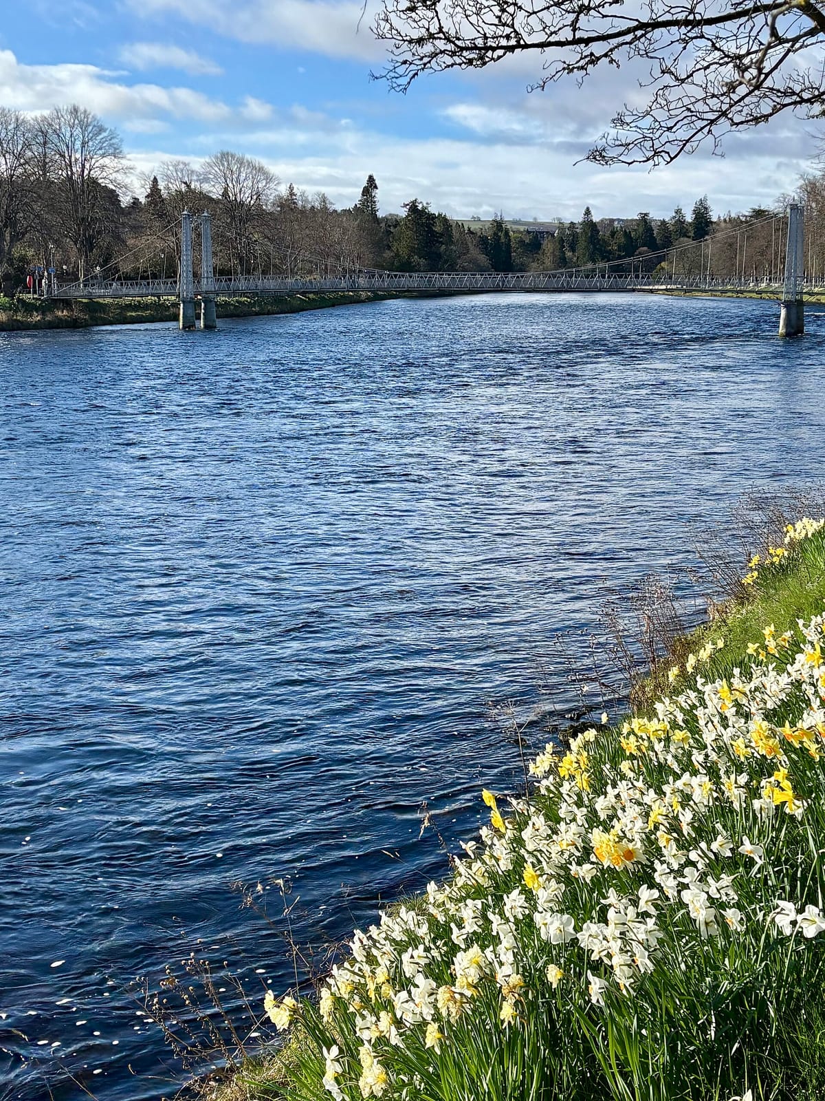 Highland Hospice - By The River Café photo 9