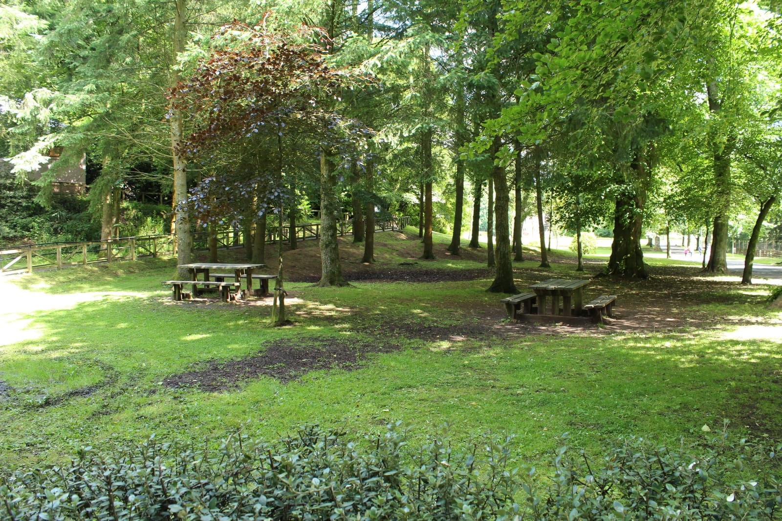 Dean Castle & Country Park Visitor Centre and Cafe photo 3