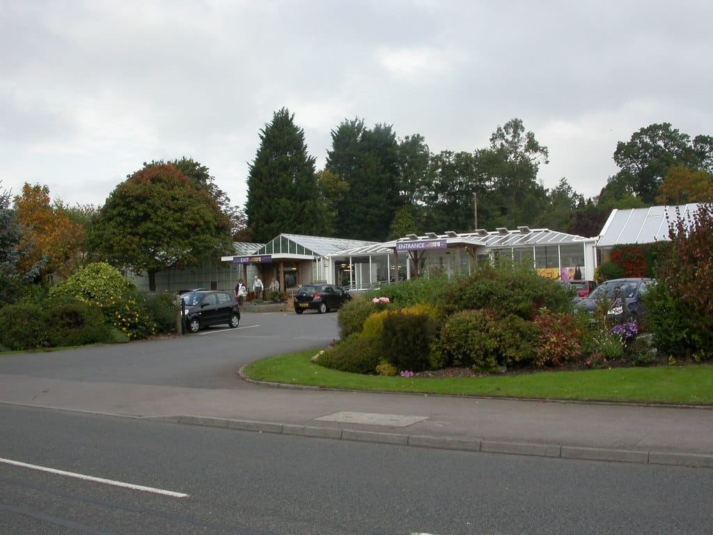 The Pine Tree Coffee Shop photo 9