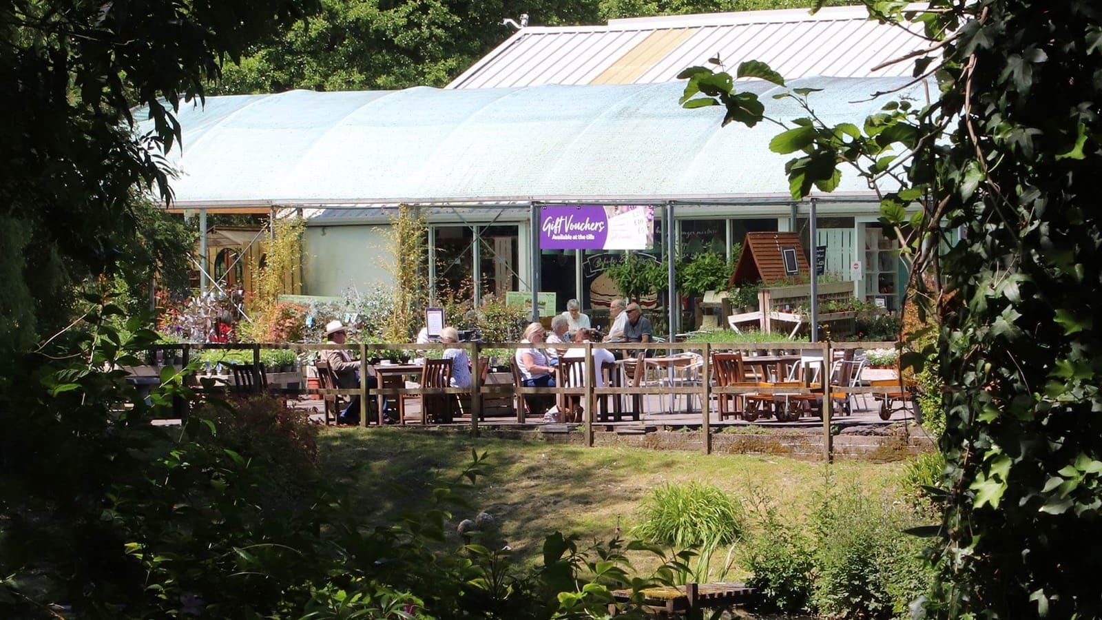 The Pine Tree Coffee Shop photo 5