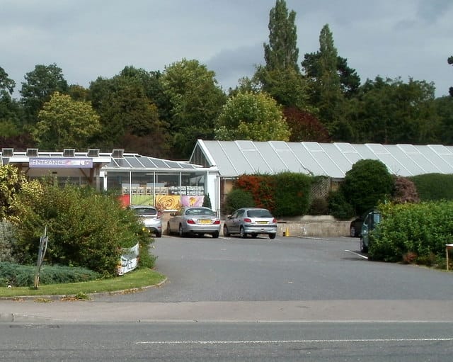 The Pine Tree Coffee Shop photo 12
