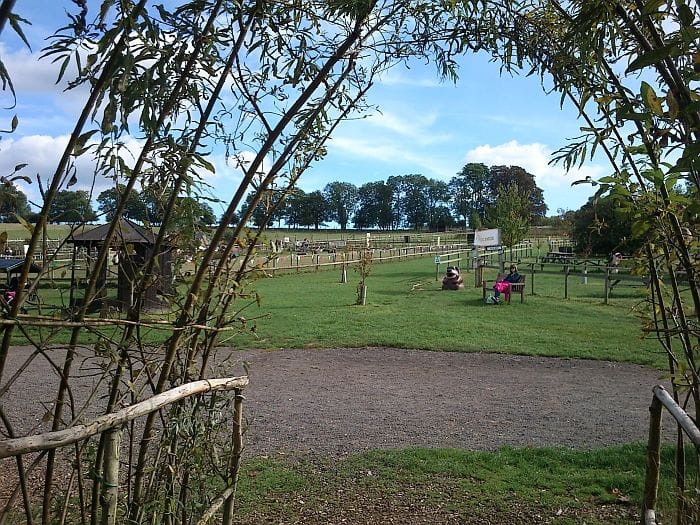 The Old Barn Tearooms photo 11
