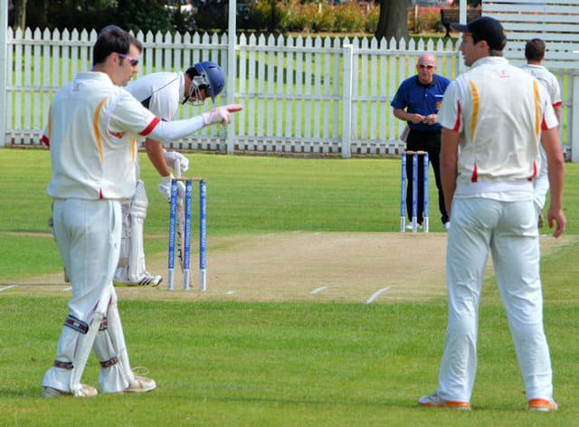 THE QUIRKY CRICKETER photo 2