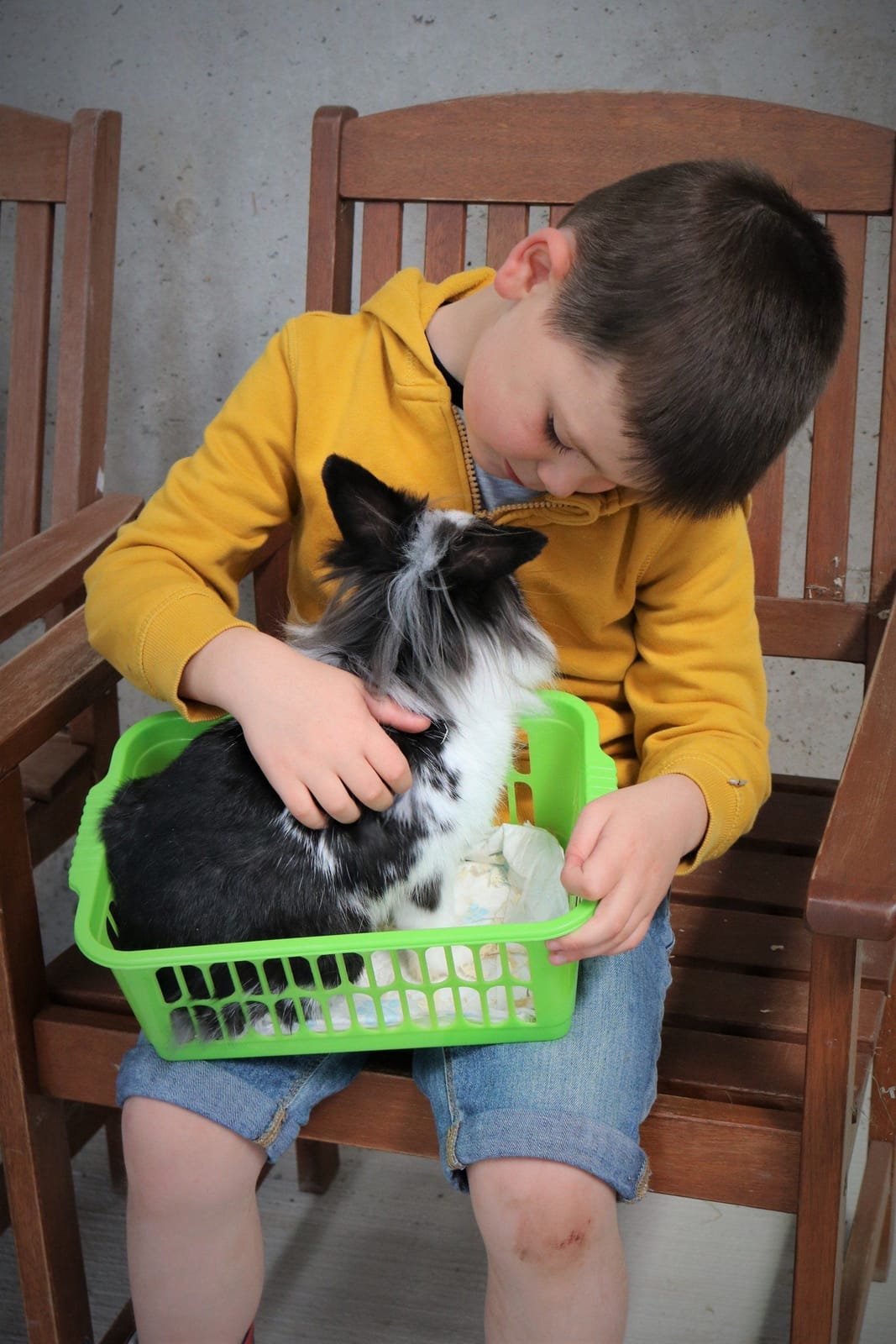 Laganvale Farm photo 5