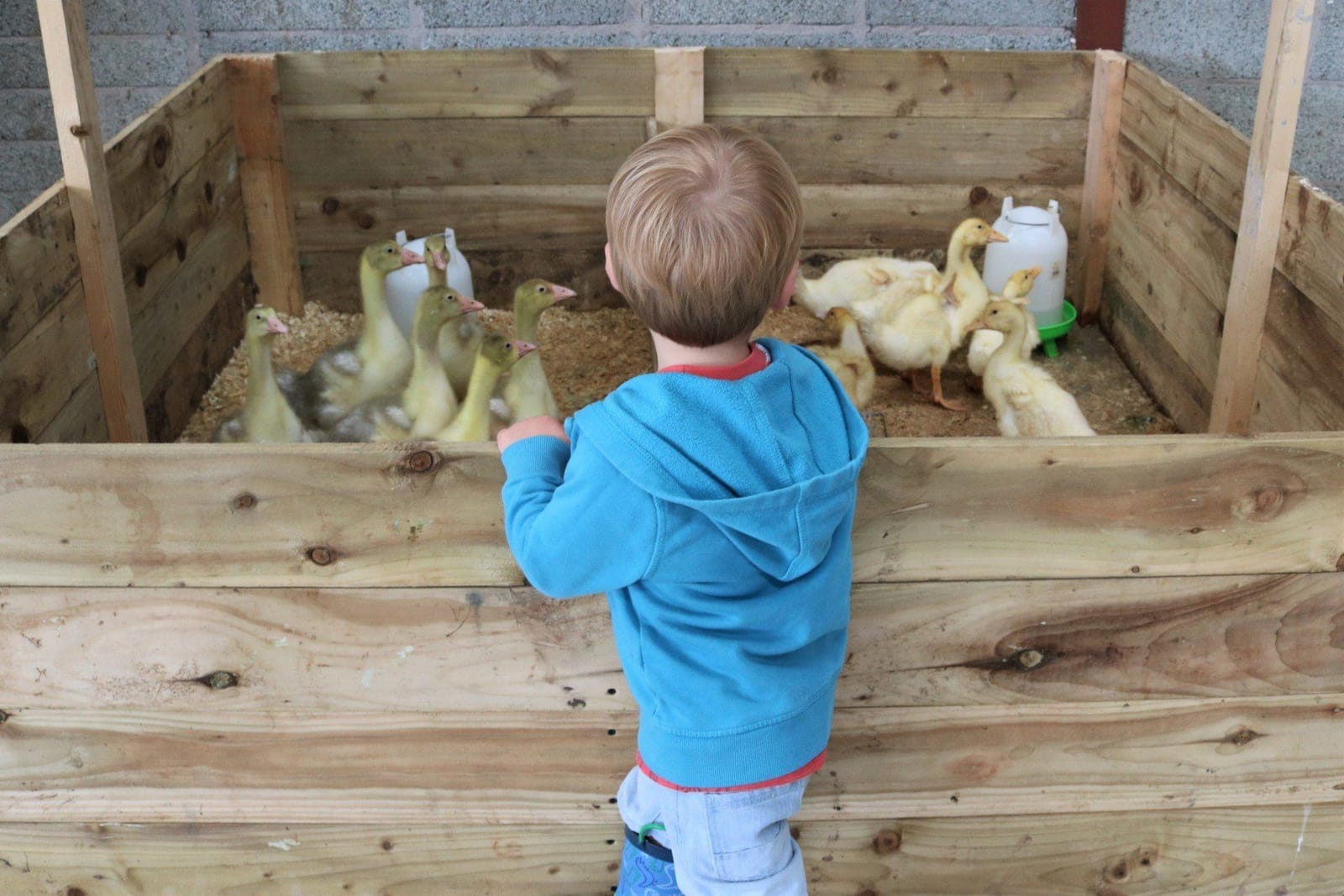 Laganvale Farm photo 6