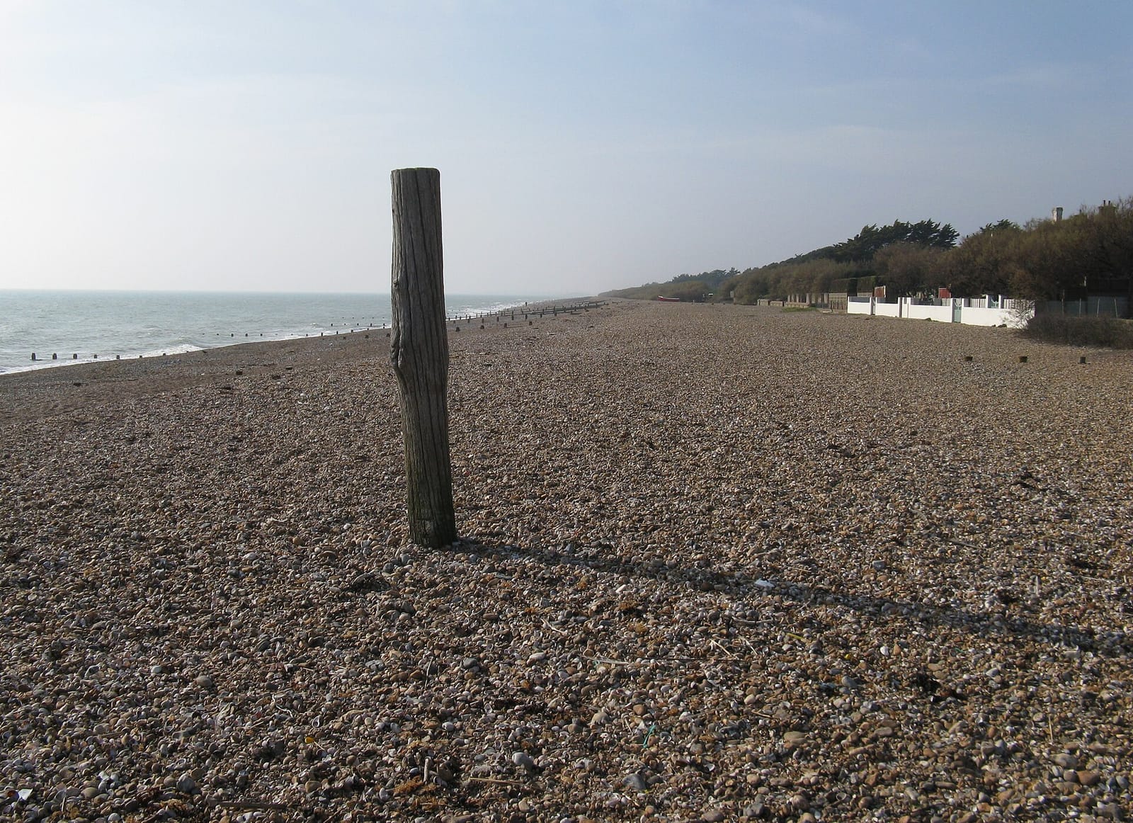 Salt Beach Kiosk photo 3