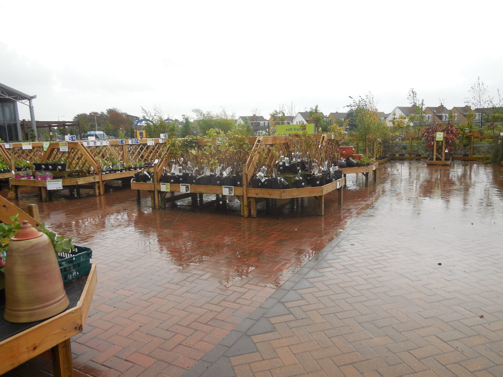 Haskins Garden Centre Roundstone photo 2