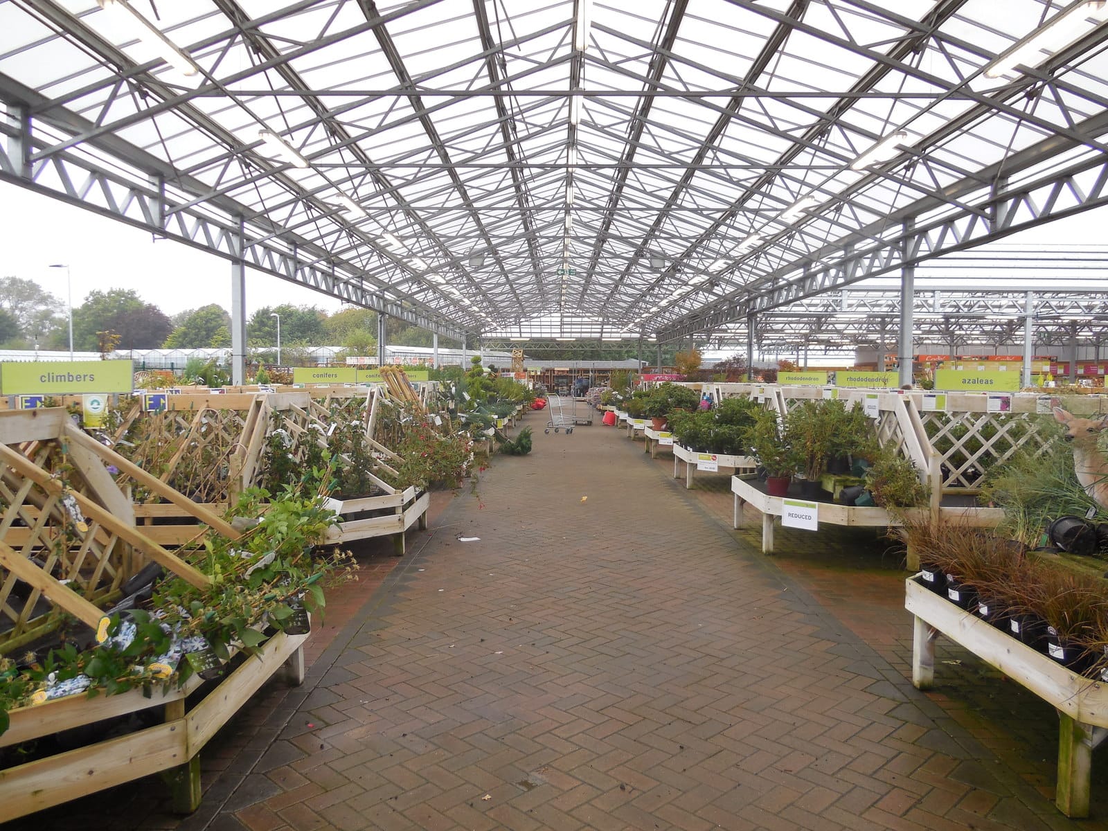 Haskins Garden Centre Roundstone photo 3
