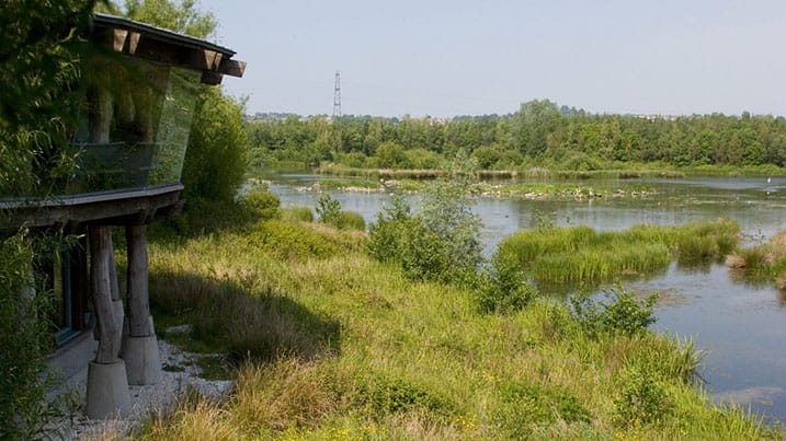 WWT Llanelli Wetland Centre photo 8