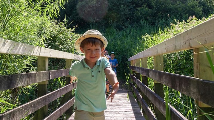 WWT Llanelli Wetland Centre photo 3