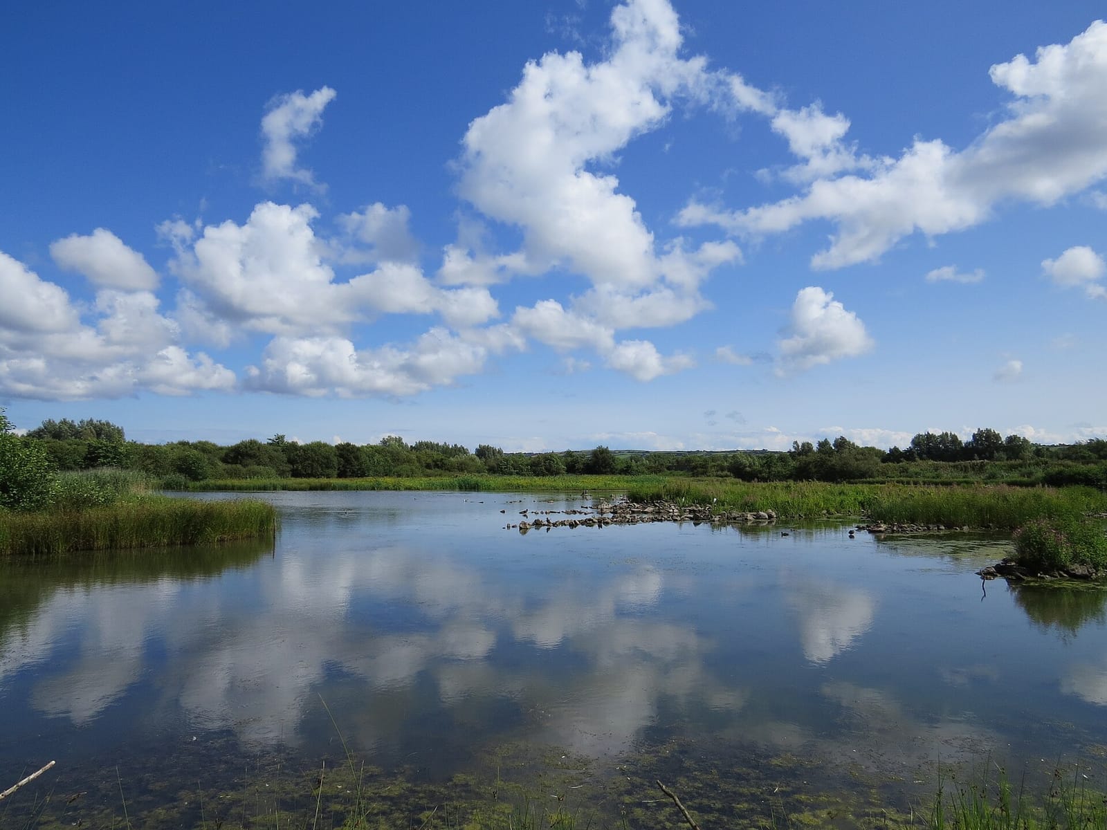 WWT Llanelli Wetland Centre photo 13