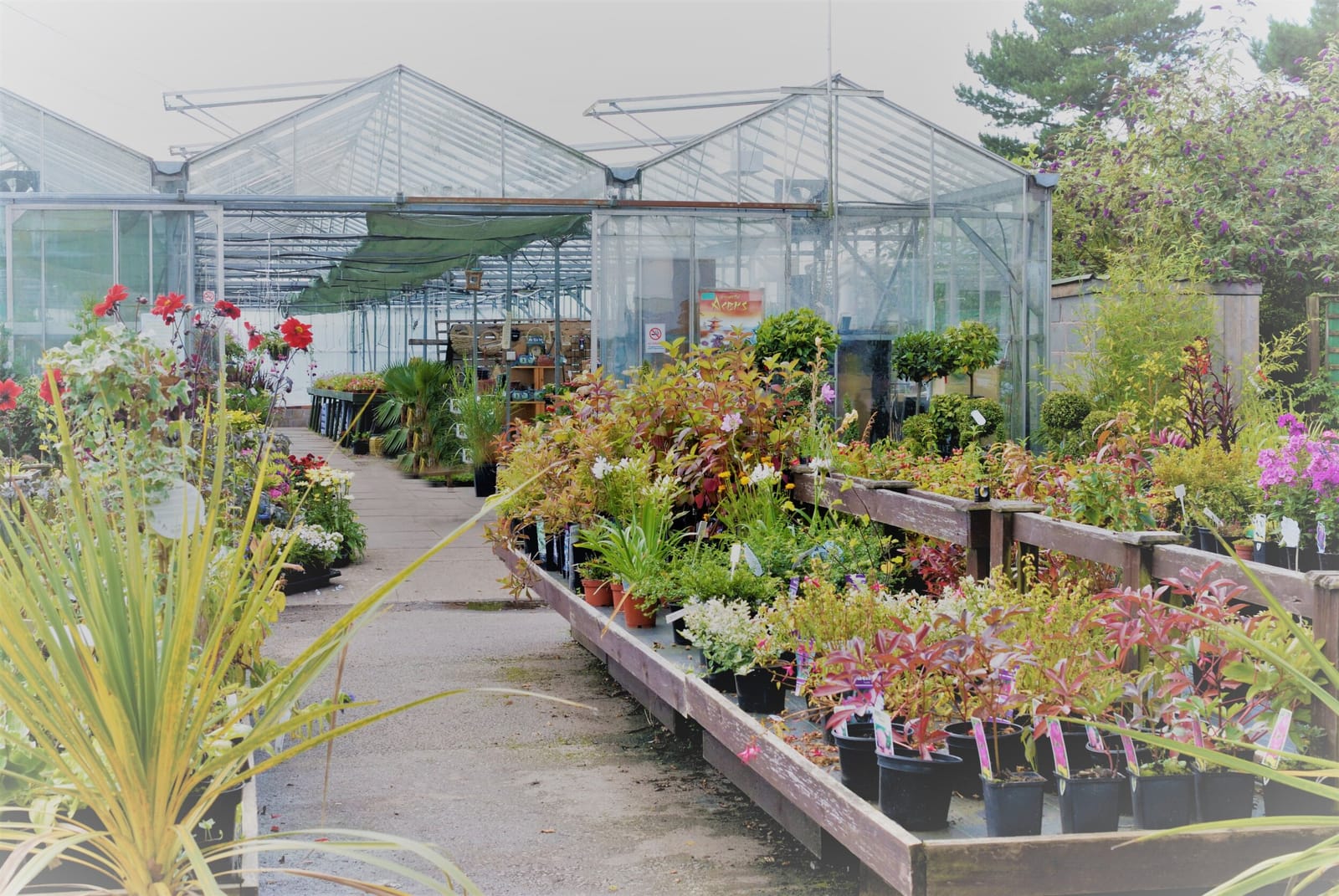 Heath House Farm photo 4