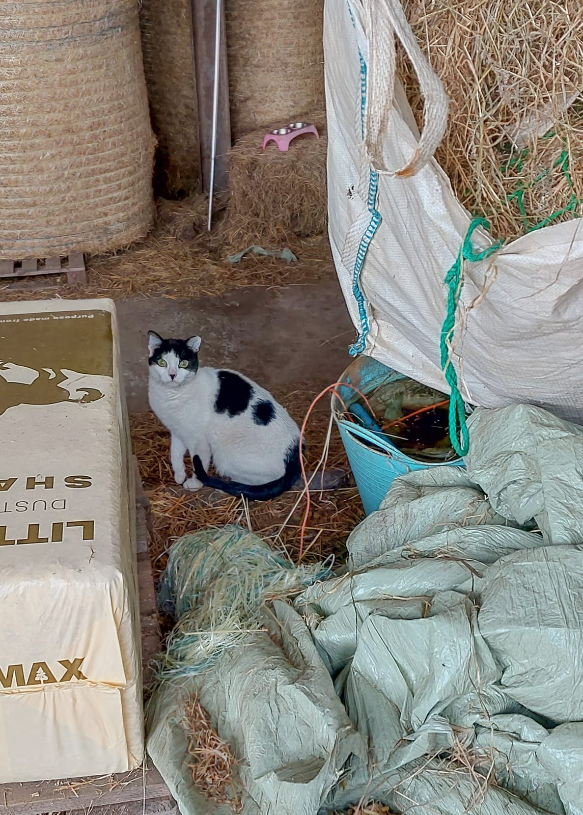 Millie’s Café and Farm Shop photo 3