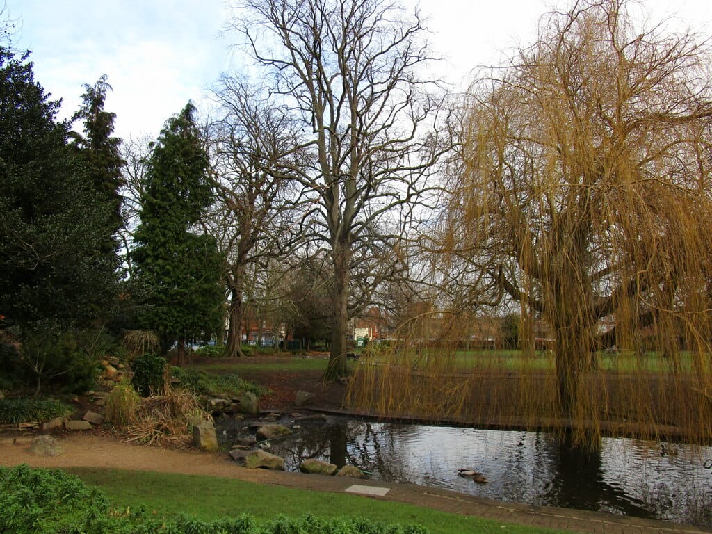 Olivia's at Queen’s Park photo 2