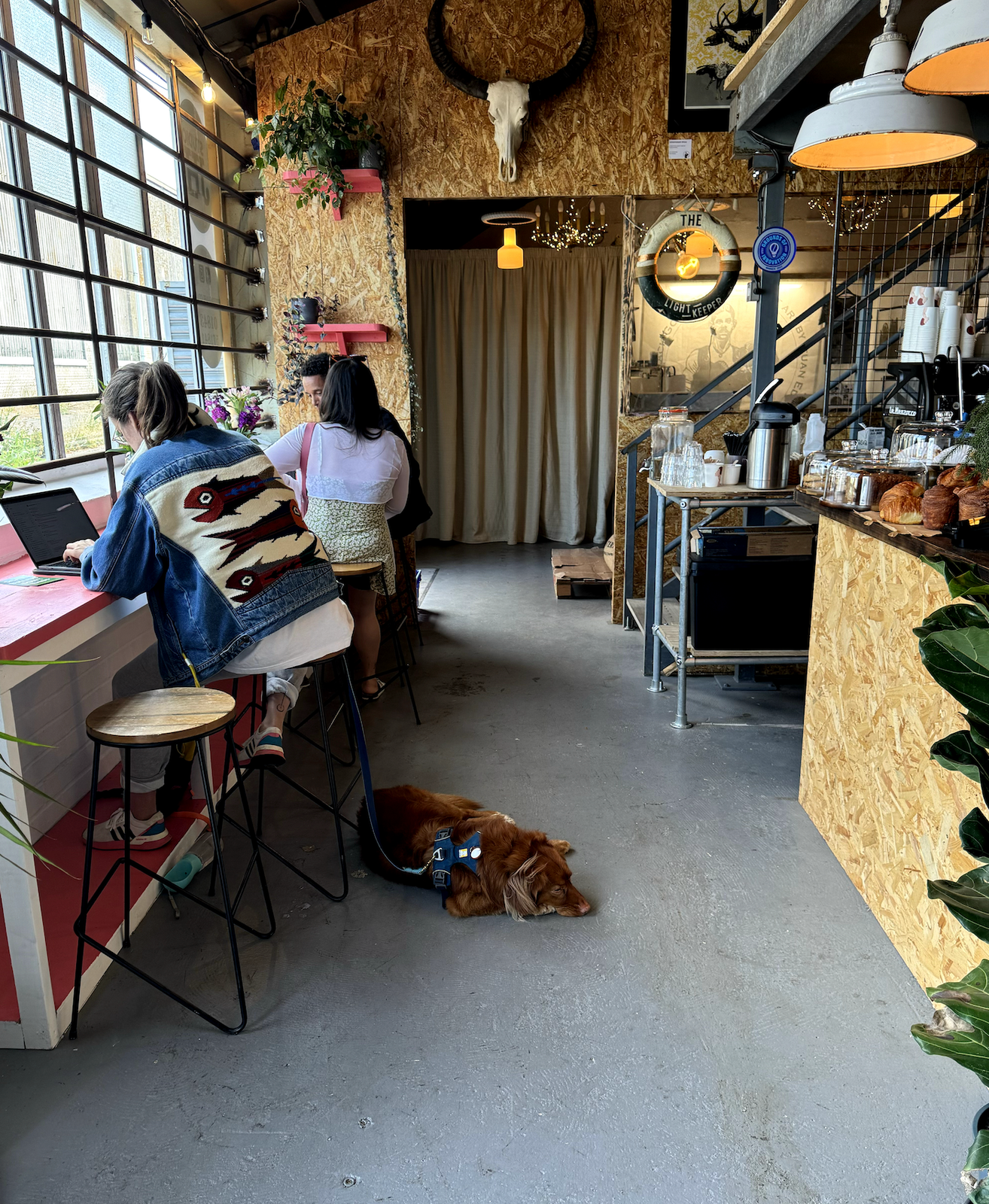 Skinny Dip Coffee Roasters photo 5