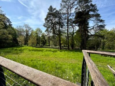 Halo Cyfarthfa Park Cafe & Splash Pad photo 3
