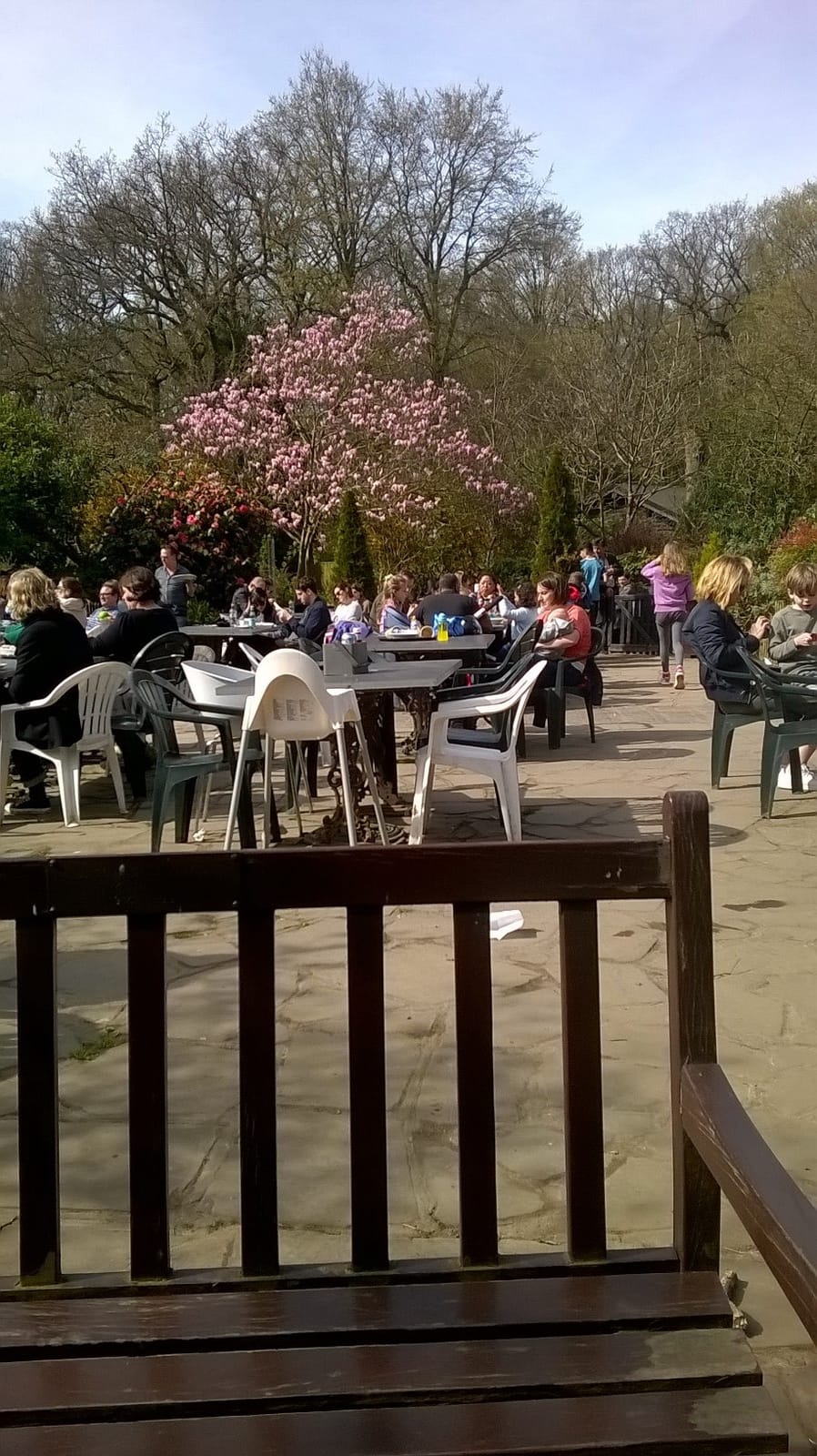 The Pavilion Cafe photo 8