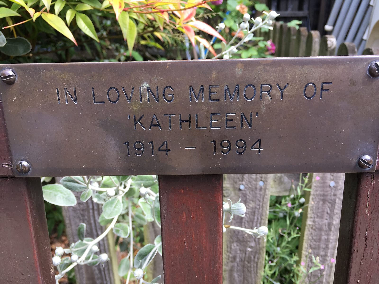 The Pavilion Cafe photo 9