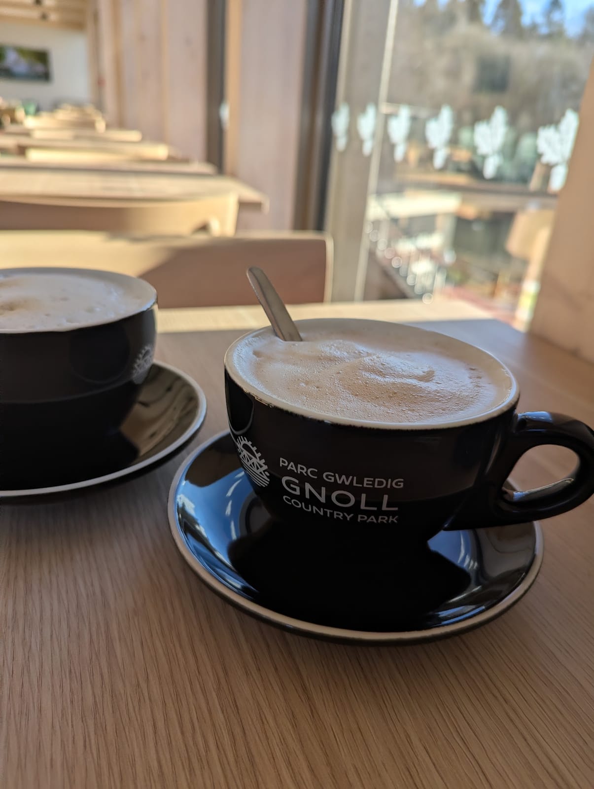 Gnoll Park Cafe