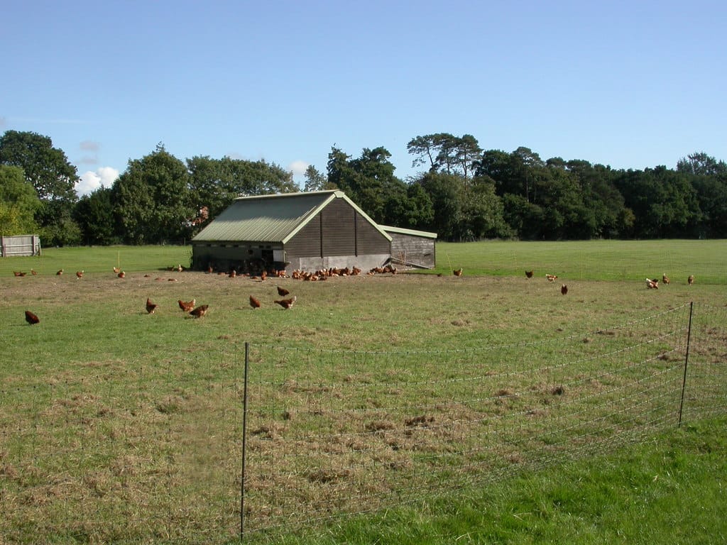 Coffee Hut at Ferndene Farm Shop photo 2