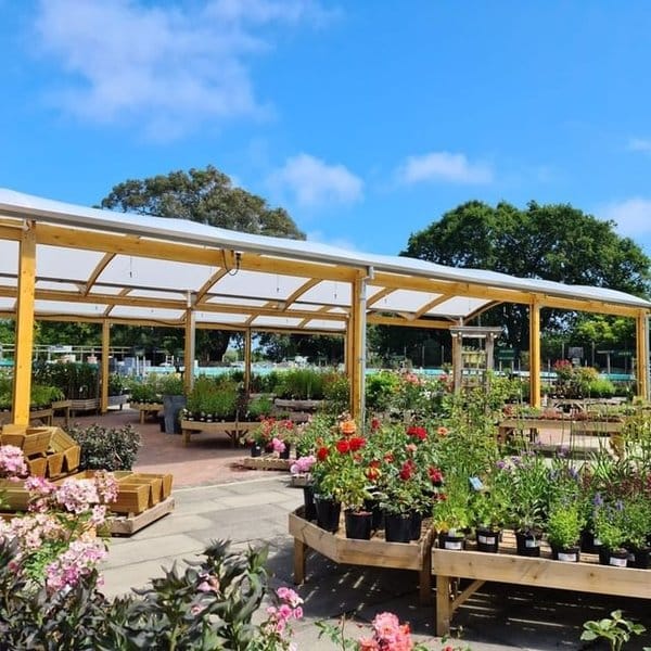 Everton Nurseries photo 8