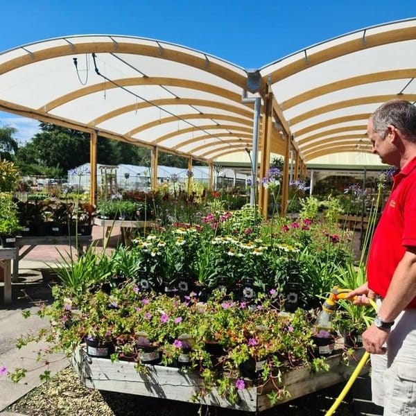 Everton Nurseries photo 7