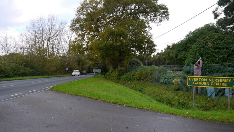 Everton Nurseries photo 10