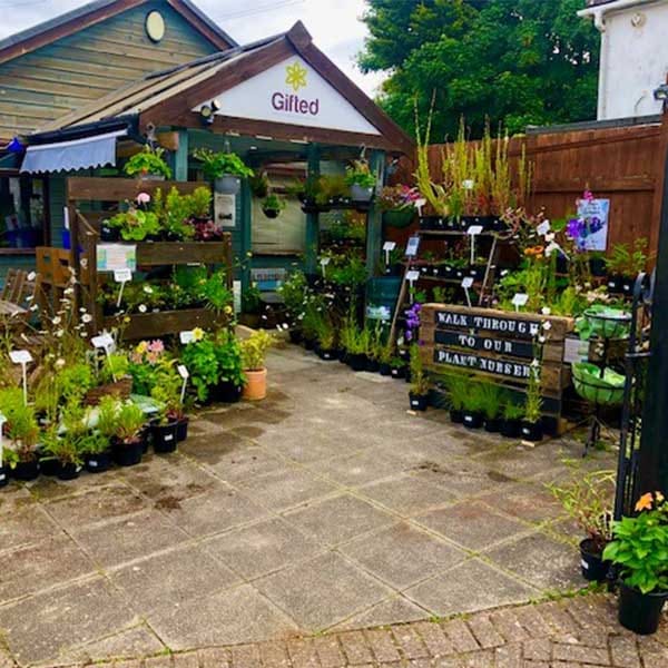 Gifted Garden Centre, Cafe and Gift Shop photo 2