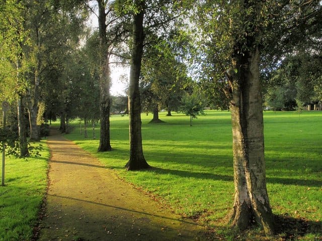 Forde Park Pavilion photo 4