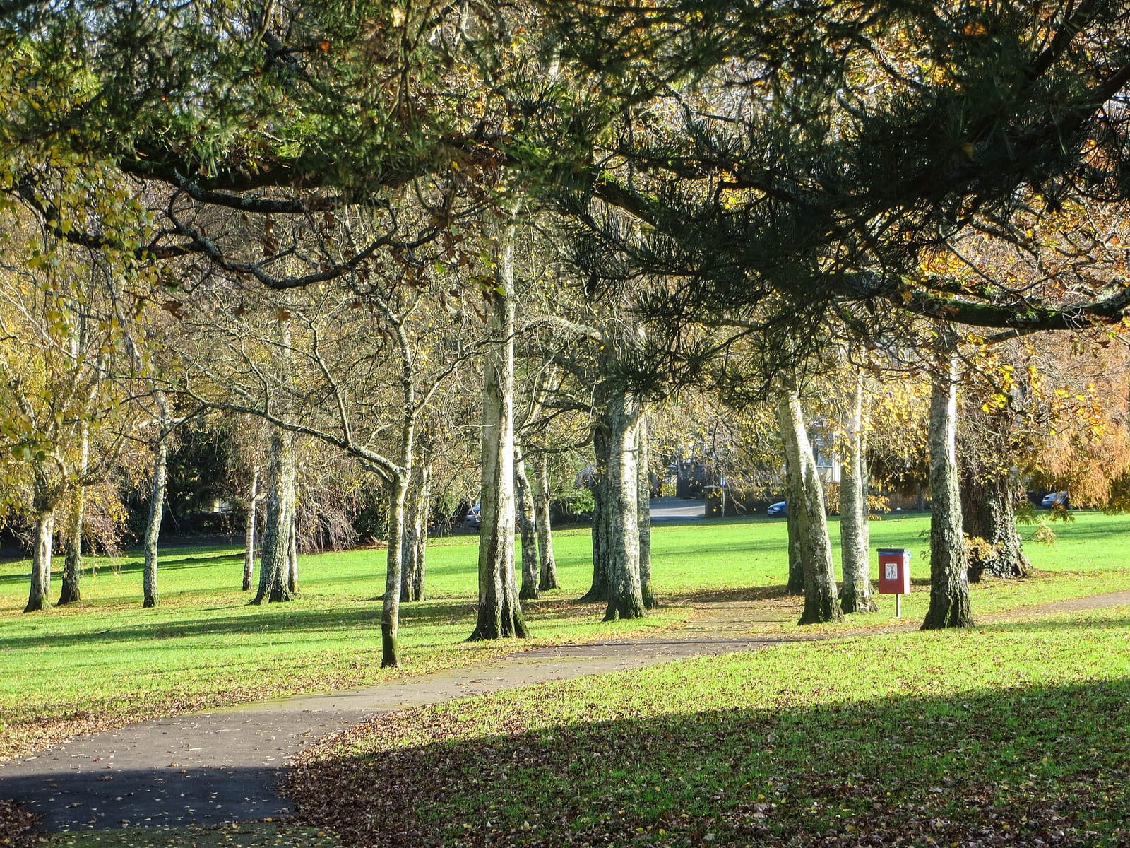Forde Park Pavilion photo 2