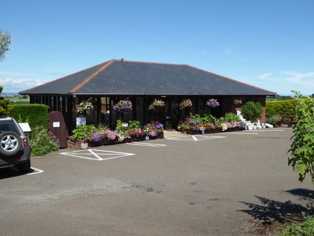 Plant World Gardens, Nursery & Cafe photo 9