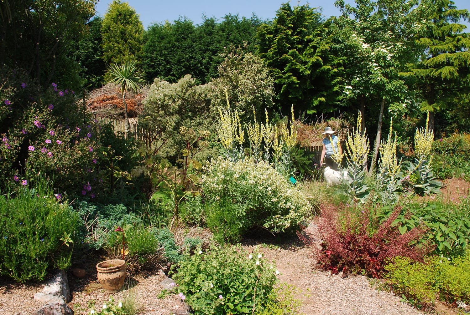 Plant World Gardens, Nursery & Cafe photo 6