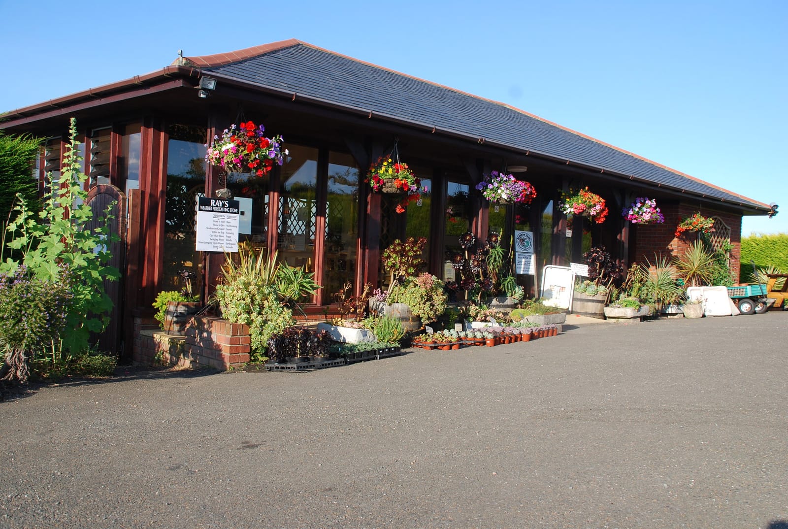Plant World Gardens, Nursery & Cafe photo 4