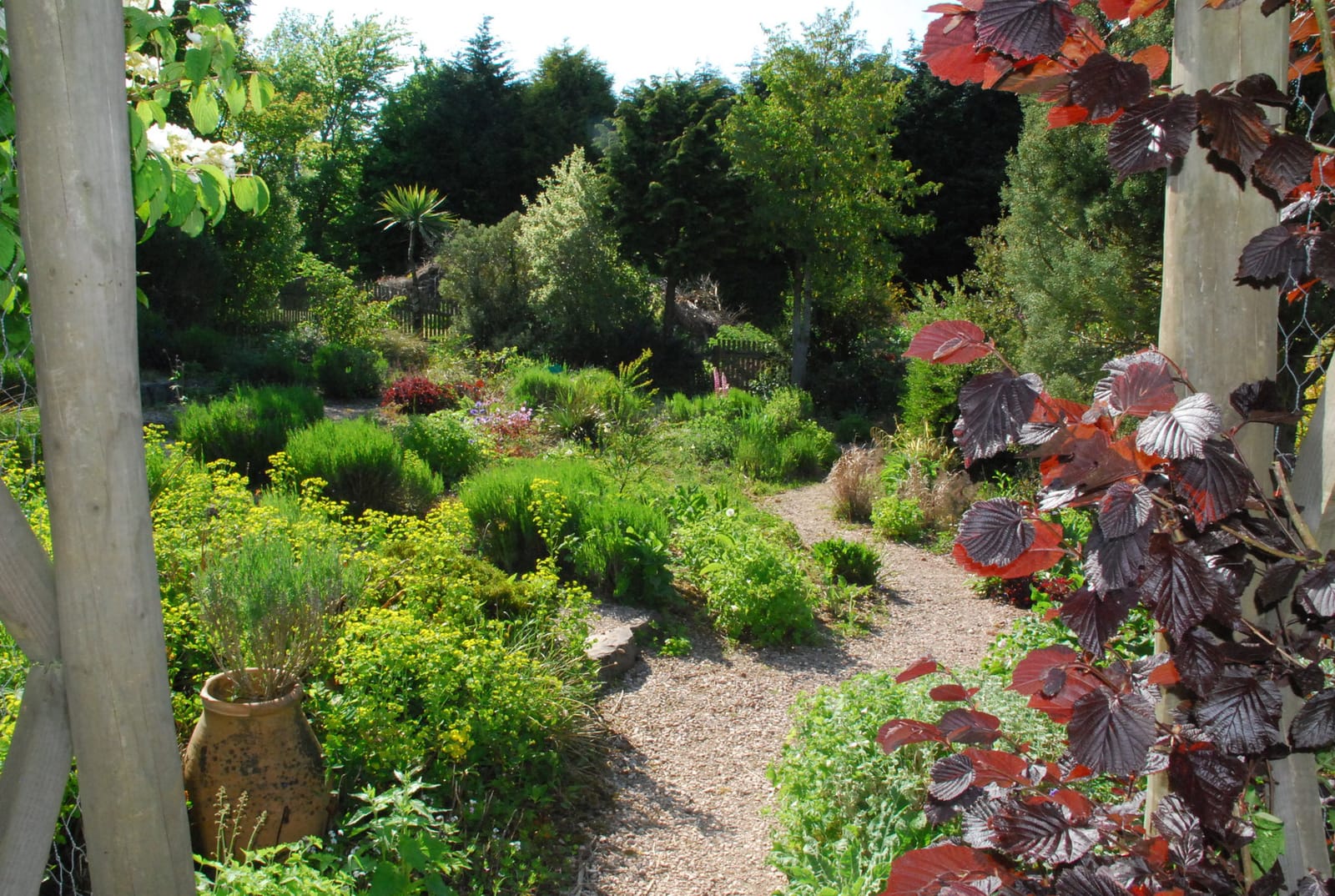 Plant World Gardens, Nursery & Cafe photo 5