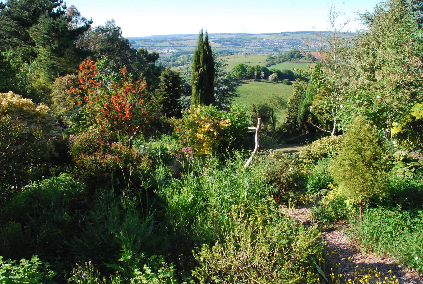 Plant World Gardens, Nursery & Cafe