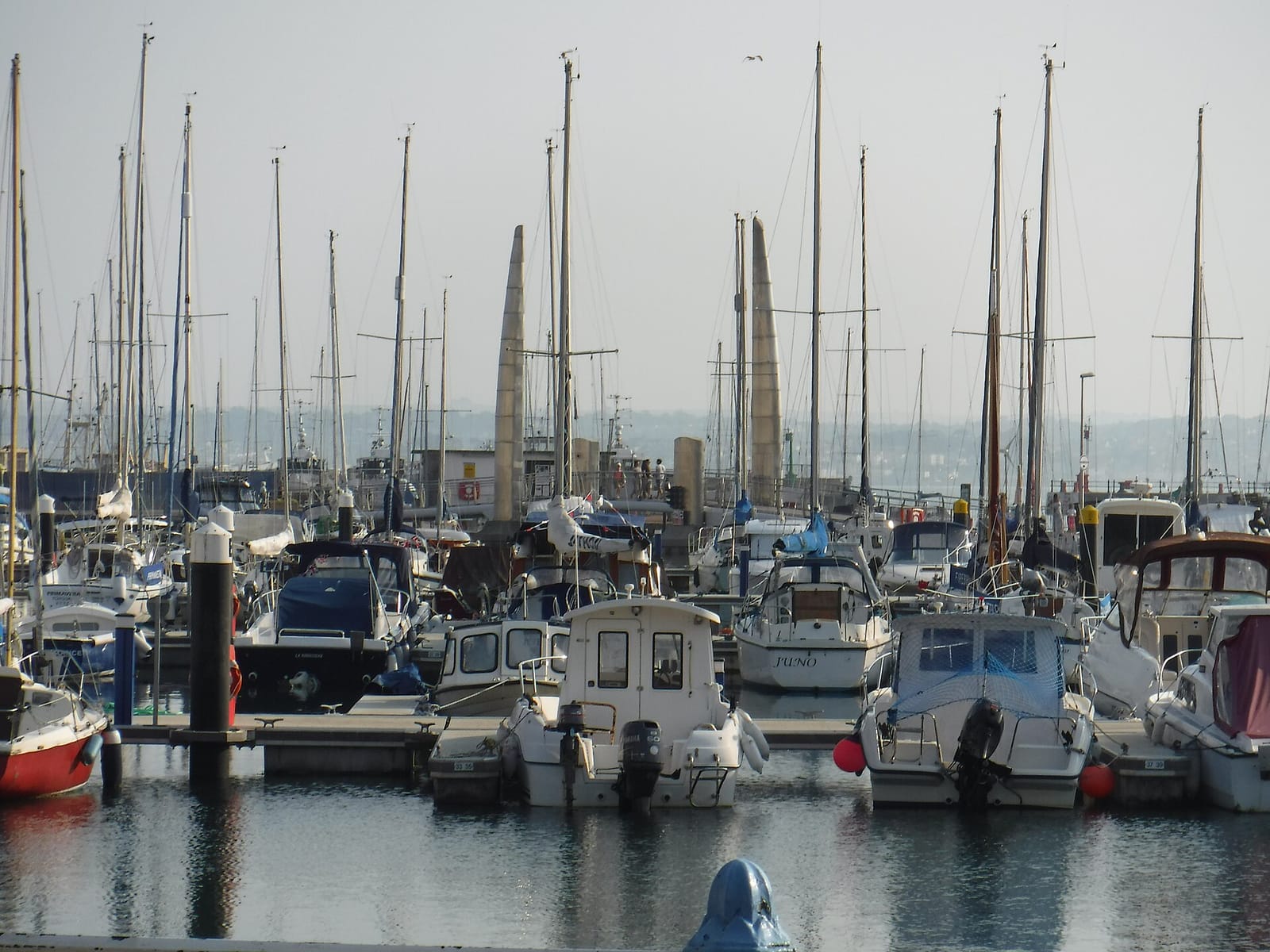 The Dock photo 3