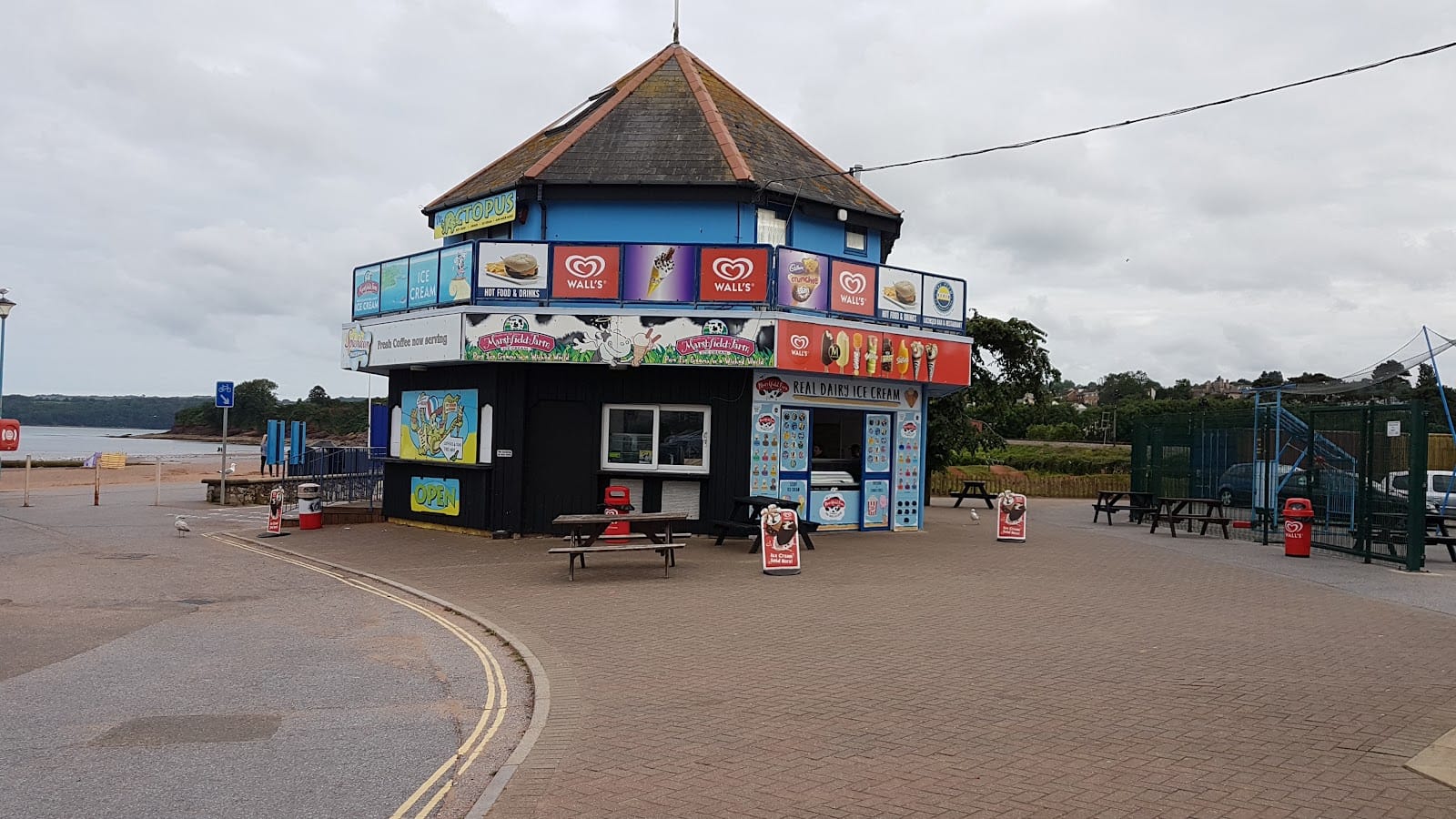 The Octopus