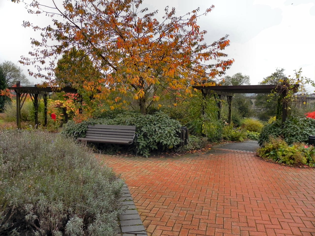 The Garden Room Cafe photo 3