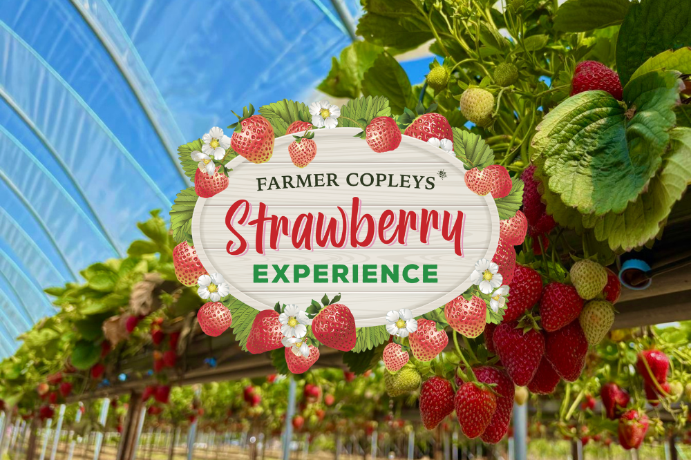 Farmer Copleys photo 3
