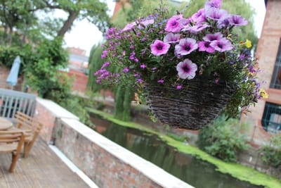 The Secret Garden photo 4