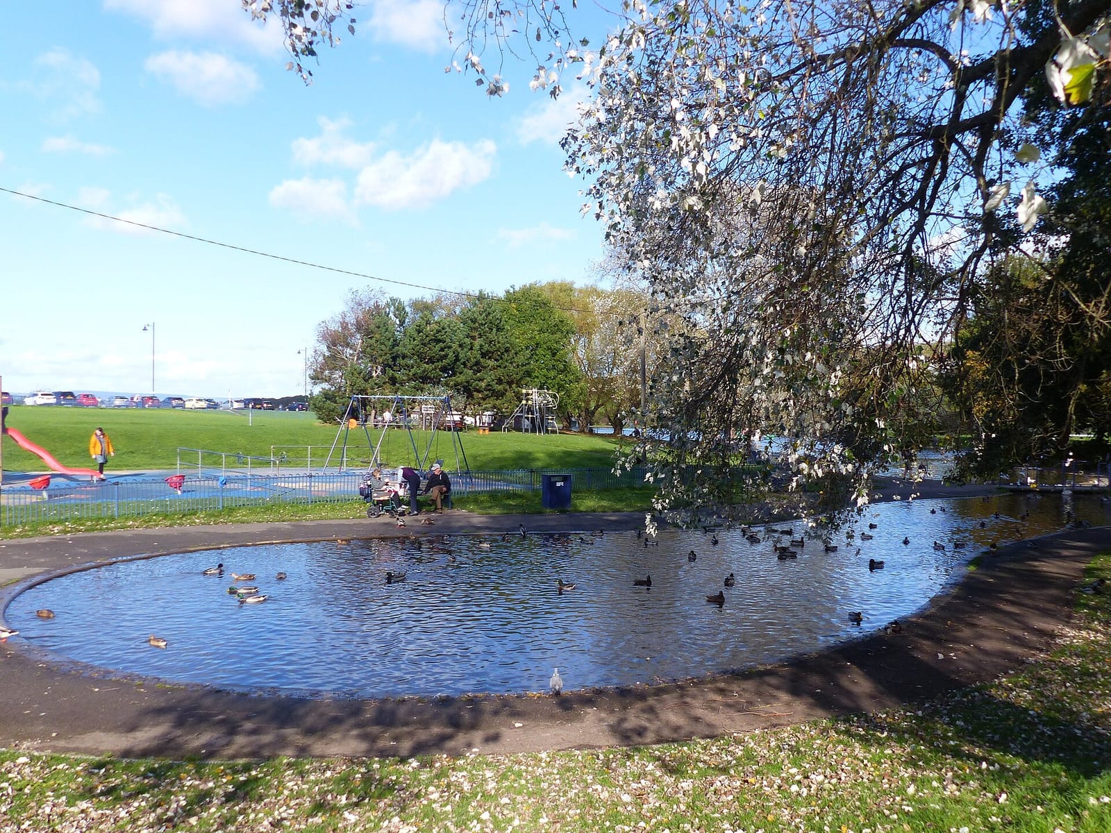 Lake Cafe photo 4