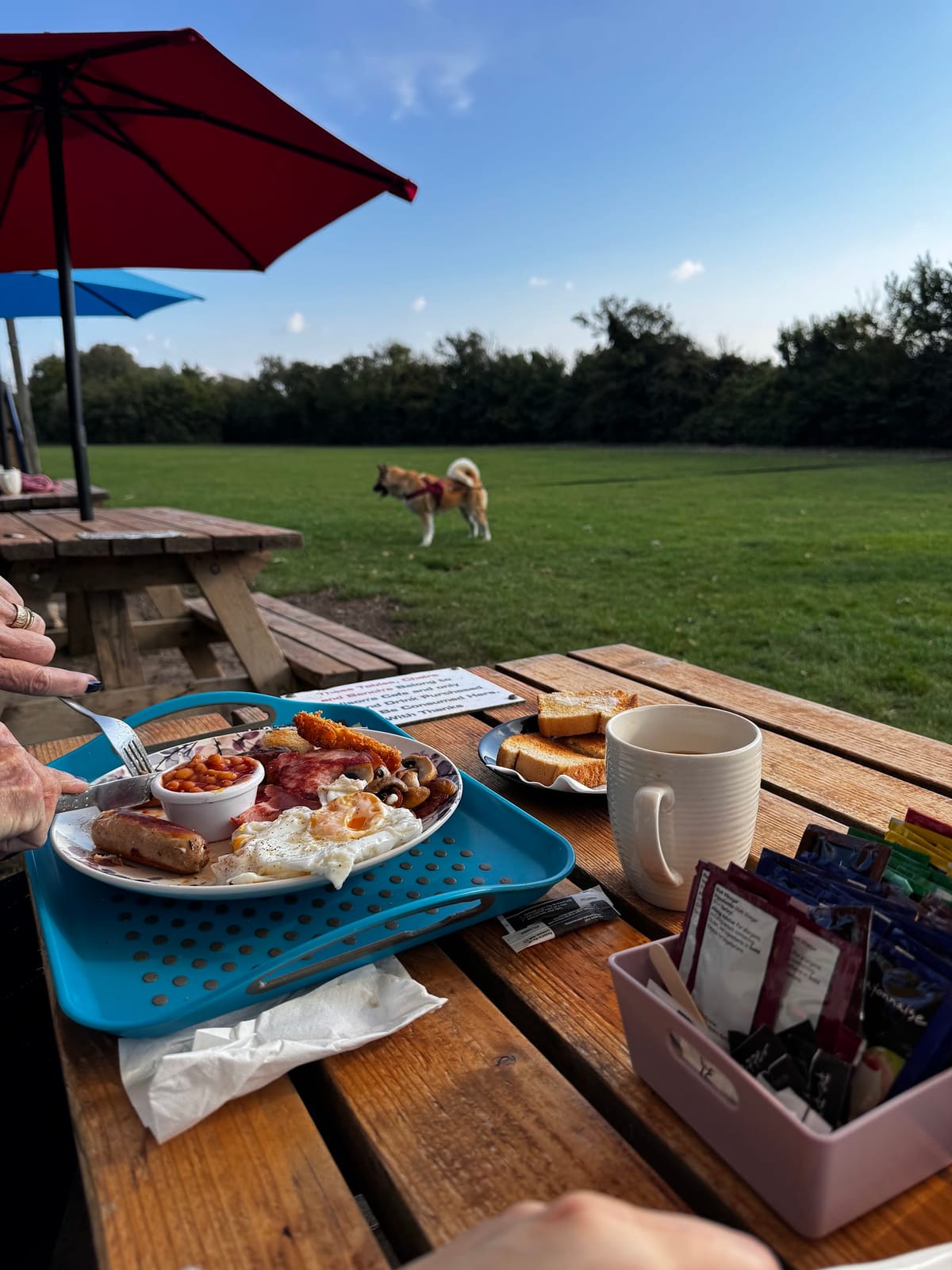 Alison's Sea View Cafe