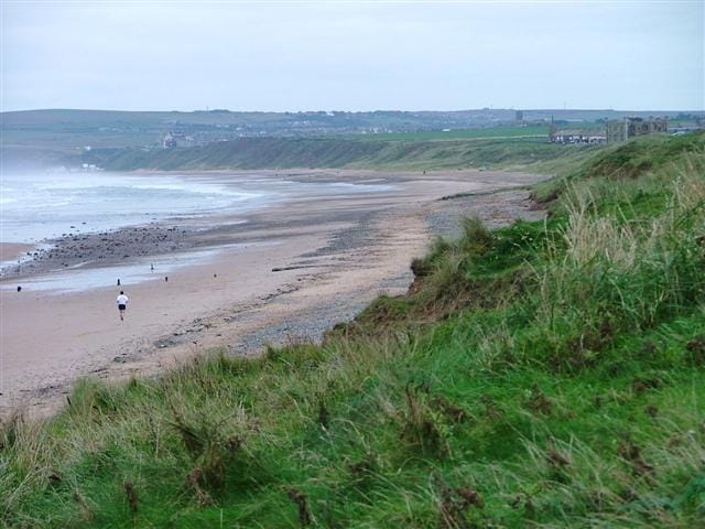 Headland Espresso photo 4