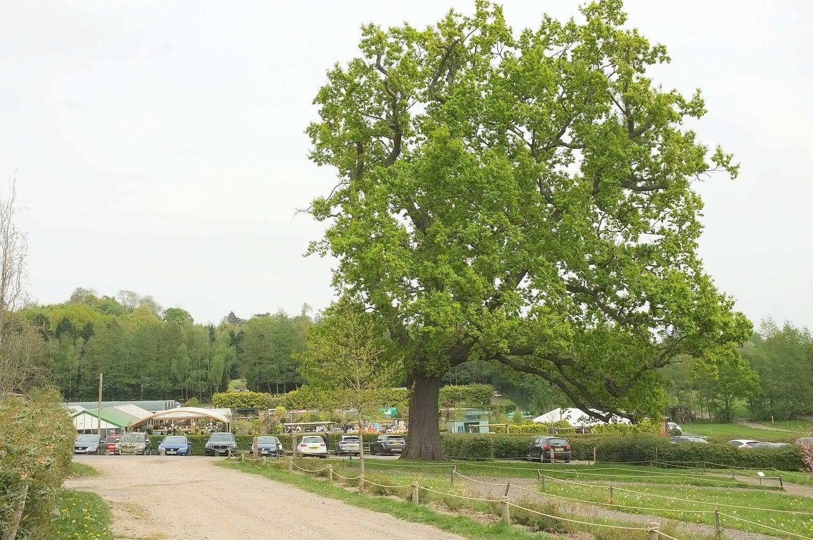 Discovery Land at Priory Farm photo 3