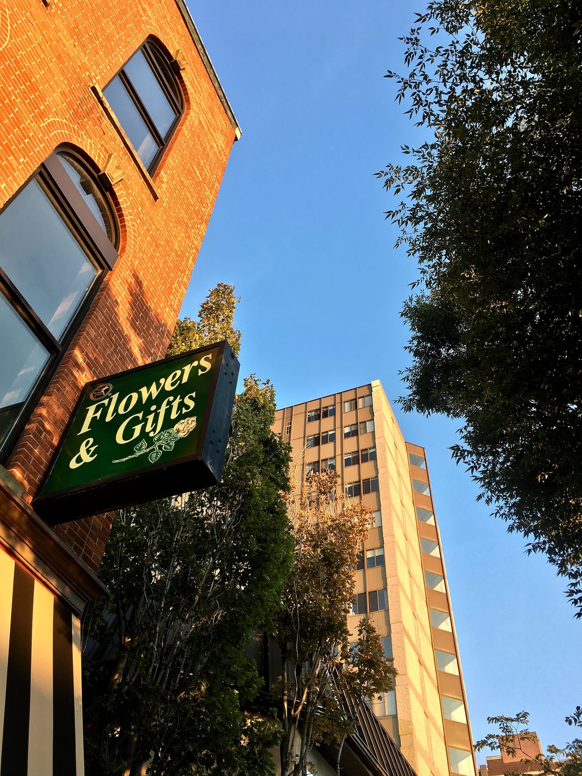 Rose Garden Cafe photo 3