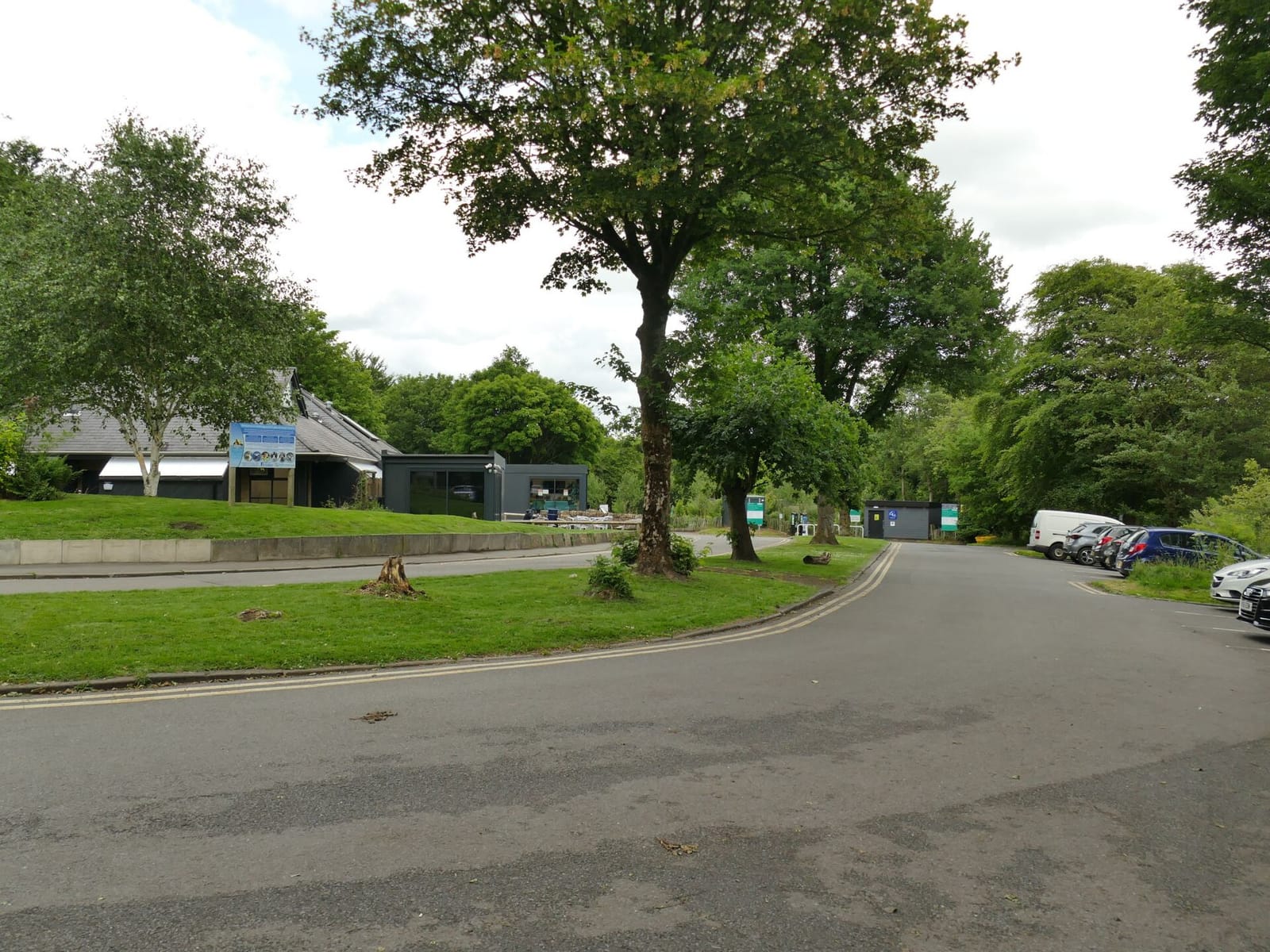 Woodlands Cafe photo 3