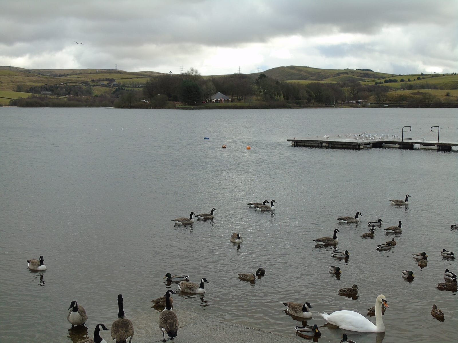 Lakeside Cafe photo 2